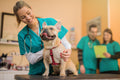 Veterinary