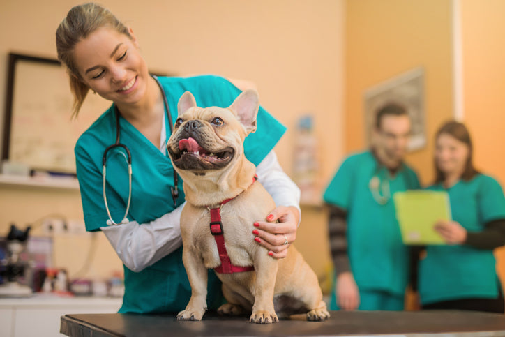 Veterinary